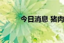 今日消息 猪肉概念板块持续拉升