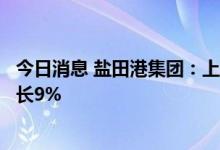 今日消息 盐田港集团：上半年本地港口集装箱吞吐量同比增长9%