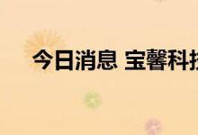 今日消息 宝馨科技触及涨停 走出5连板