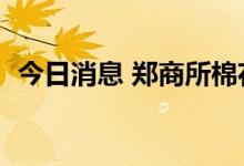 今日消息 郑商所棉花期货主力合约大跌7%