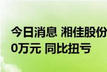 今日消息 湘佳股份：上半年预盈400万元-550万元 同比扭亏