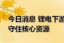 今日消息 锂电下游加速向上布局，中游更需守住核心资源