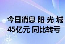 今日消息 阳 光 城：预计上半年亏损35亿元-45亿元 同比转亏