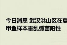 今日消息 武汉洪山区在夏季肠道传染病日常监测中检出4份甲鱼样本霍乱弧菌阳性