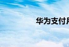 华为支付月活用户达1亿