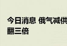 今日消息 俄气减供 德国消费者明年采暖费恐翻三倍
