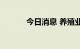 今日消息 养殖业板块异动拉升