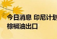 今日消息 印尼计划推出新的激励措施来促进棕榈油出口
