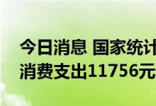 今日消息 国家统计局：上半年全国居民人均消费支出11756元