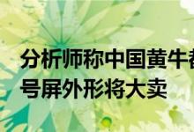 分析师称中国黄牛都看好iPhone14：全新叹号屏外形将大卖