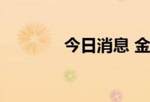 今日消息 金智科技触及涨停