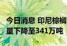 今日消息 印尼棕榈商协会：印尼5月棕榈油产量下降至341万吨