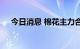 今日消息 棉花主力合约日内暴涨8.00%