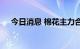 今日消息 棉花主力合约日内暴涨8.00%