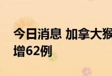 今日消息 加拿大猴痘病例增至539例 两天新增62例
