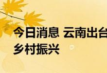 今日消息 云南出台措施支持高校毕业生服务乡村振兴