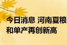 今日消息 河南夏粮总产量762.61亿斤 总产量和单产再创新高
