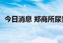 今日消息 郑商所尿素期货主力合约大涨5%