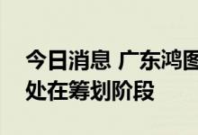 今日消息 广东鸿图：非公开发行股票方案尚处在筹划阶段