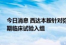 今日消息 西达本胺针对弥漫大B细胞淋巴瘤 DLBCL完成III期临床试验入组