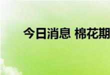 今日消息 棉花期货主力合约触及涨停