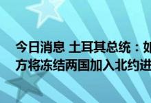 今日消息 土耳其总统：如果瑞典和芬兰不满足土方条件 土方将冻结两国加入北约进程