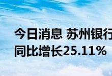 今日消息 苏州银行业绩快报：上半年净利润同比增长25.11%