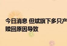 今日消息 但斌旗下多只产品规模不足500万元？回应：并非赎回原因导致