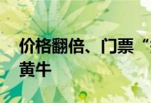 价格翻倍、门票“掉包” 摩天轮票务成官方黄牛