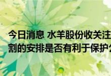今日消息 水羊股份收关注函：要求说明本次交易先付款后交割的安排是否有利于保护公司利益