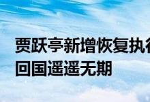 贾跃亭新增恢复执行超10亿：累计已超68亿 回国遥遥无期