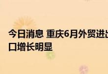 今日消息 重庆6月外贸进出口创历史新高 对韩国、印度进出口增长明显