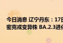今日消息 辽宁丹东：17日新增无症状感染者感染病毒为奥密克戎变异株 BA.2.3进化分支