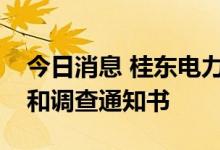 今日消息 桂东电力：收到证监会立案告知书和调查通知书
