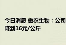 今日消息 傲农生物：公司的目标是今年底明年初使育肥成本降到16元/公斤