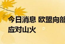 今日消息 欧盟向部分成员国派遣消防飞机以应对山火