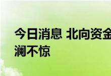今日消息 北向资金波动加大   “基本盘”波澜不惊