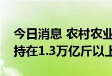 今日消息 农村农业部：确保全年粮食产量保持在1.3万亿斤以上