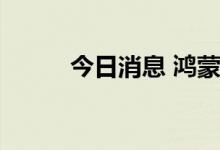 今日消息 鸿蒙概念板块异动拉升