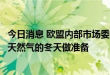 今日消息 欧盟内部市场委员布雷顿：欧盟正在为没有俄罗斯天然气的冬天做准备
