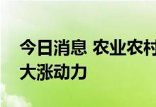 今日消息 农业农村部：后期猪价不具备持续大涨动力