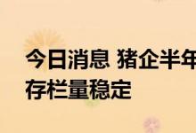 今日消息 猪企半年报普遍预亏 7月猪价反弹存栏量稳定