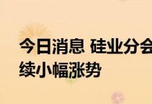 今日消息 硅业分会：本周国内多晶硅价格延续小幅涨势