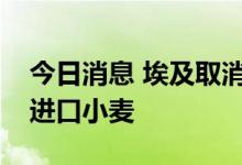 今日消息 埃及取消向美国加拿大等五国招标进口小麦