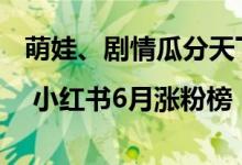 萌娃、剧情瓜分天下 小红书涨粉不靠种草| 小红书6月涨粉榜