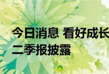 今日消息 看好成长股 华夏基金钟帅旗下产品二季报披露