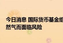 今日消息 国际货币基金组织：德国经济的近5%因俄罗斯天然气而面临风险