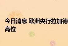今日消息 欧洲央行拉加德：全球能源价格可能在短期内保持高位