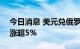 今日消息 美元兑俄罗斯卢布USD/RUB日内涨超5%