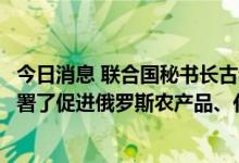 今日消息 联合国秘书长古特雷斯和俄罗斯国防部长绍伊古签署了促进俄罗斯农产品、化肥重返全球市场的备忘录